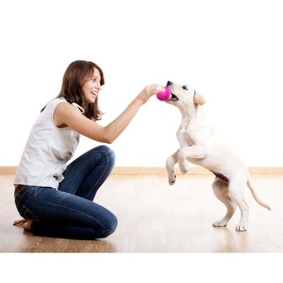 China Cheapest Viable High Quality Colorful Indestructible Pet Interactive Toy Ball for sale