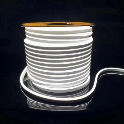 China Hotel decoration led rope light 816 220V 110V silicone signage led neon lamp strip light 50m waterproof silicone strip 100m for sale