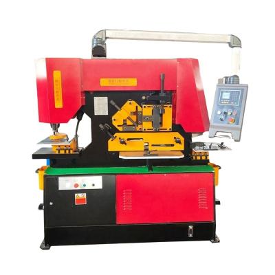 China Fish Metal Working Shear And Punching Machine CE Approved Q35Y Hydraulic Iron Worker for sale