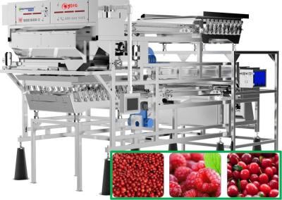 China Raspberry / Cranberry / Coffee Cherry Sorting Machine Lower Damage for sale