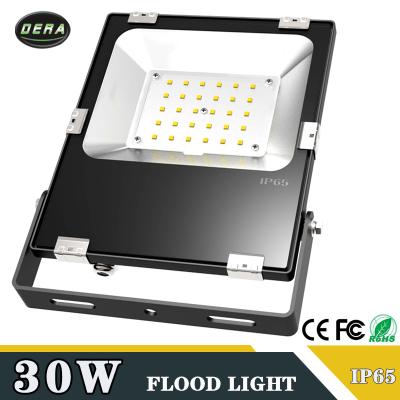 China Palyground Hot Sales 30w Led Flood Light 12v Waterproof Led Light 24v IP65 IP65 With COB SMD Chips Floodlight Meanwell Driver Style for sale