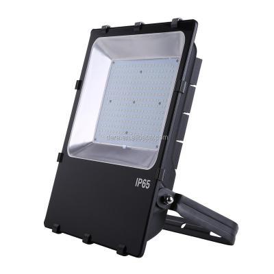 China Newer industrial workshops led floodlight 250 W smd led outdoor flood light with meanwell driver for sale