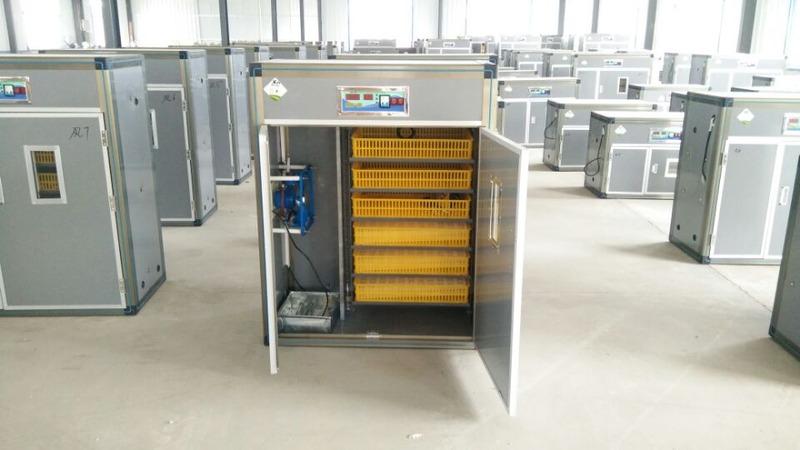 Verified China supplier - Dezhou Decheng Weiqian Incubation Equipment Factory