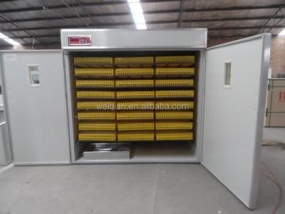 China Newest 2000 bird egg chick brooder/incubators for hatching brooder for sale