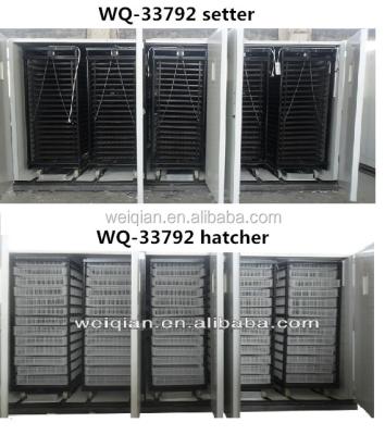 China Full Automatic Bird Chicken Incubator 30000 Capacity Chicken Hatchery In German for sale