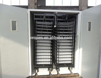 China High Quality Bird Hatch Rate High Brooder Automatic for sale