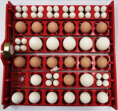 China Bird egg tray for 48egs egg tray for 56eggs egg tray for 36 eggs with motor for sale