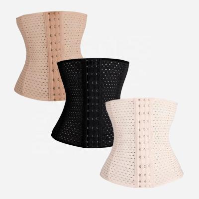 China Hot Sale Antibacterial Stock No Seasons Hollow 4 Breathable Steel Boned Steel Boned Belly Trainer Body Shaper Waist Trainer Cincher for sale