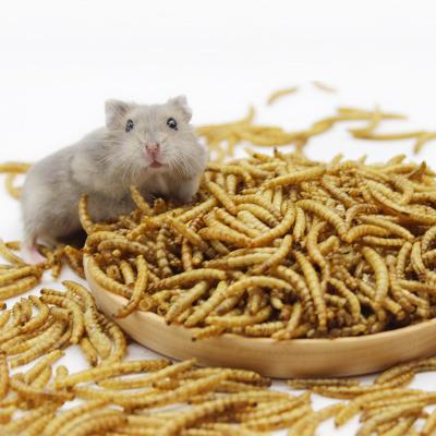 China Viable Tortoise Dry Food Snack Pet Food Hamster Mealworm Breadworm Ornamental Fish Feed for sale