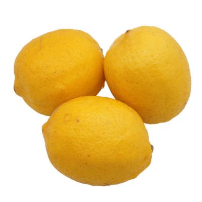 China 2021 fresh fresh yellow lemons from South Africa in best quality running lemon for sale