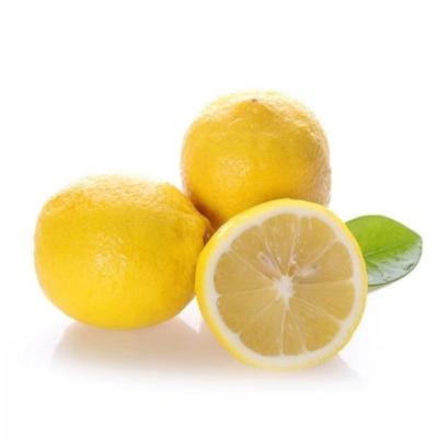 China Low price fresh fruit wholesale china fresh uae low price fresh lemon like lemon for sale