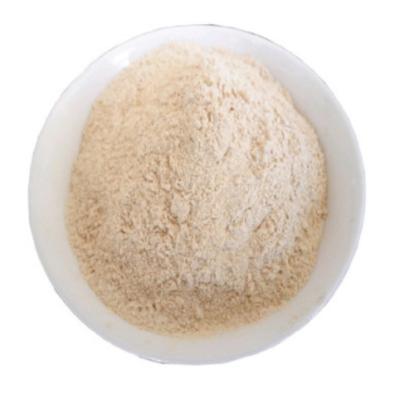 China Low price 100% big pruty garlic powder carton garlic powder bulk export quality dry garlic powder for sale