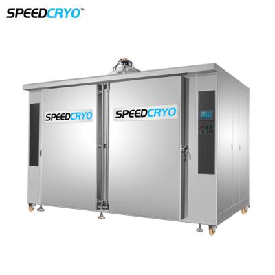 China Seafood Liquid Nitrogen IQF Quick Cabinet Freezer Machine Shrimp Freezing Shock Freezer Equipment Te koop