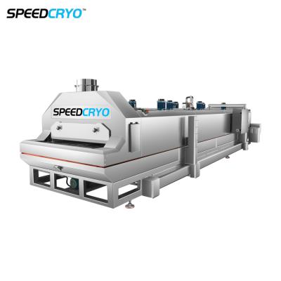 China Nitrogen Tunnel Freezer IQF Small Production Machine, Small Cryogenic Freezer for sale