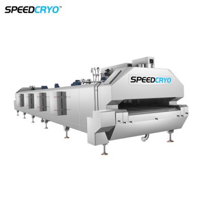 China Liquid Nitrogen 1600kg per Hour Tunnel Freezer Large IQF Cryogenic Freezing Tunnel Machine for sale