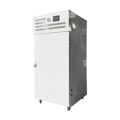 China IQF Strawberry Instant Air Blast Freezer To Maintain Original Texture And Flavor Of Food for sale