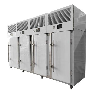 China Seafood Shrimp Air Blast Freezer Refrigerator Cryogenic Quick Low Temperature for sale