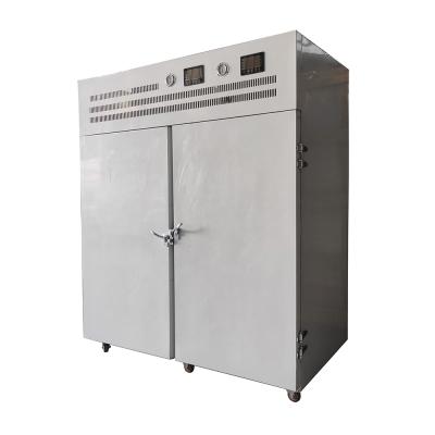 中国 IQF Industrial Flash Fish Fast Cryogenic Freezing Machine Meat Quick Shock Cabinet Air Small Blast Freezer 販売のため