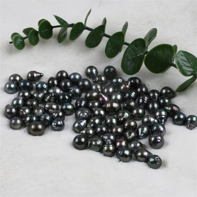 China Jewelry Making Factory Price 10-12mm Black Tahitian Beads Loose Beads For Jewelry Making for sale