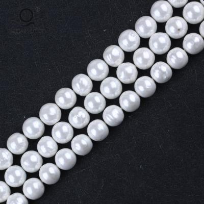 China Pearly Shell Shell Beads For Jewelry Making, Natural Round Oyster Shell Beads for sale