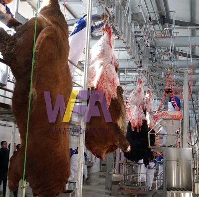 China Customized Turnkey Meat Processing Slaughter Line Project Livestock Meat Slaughtering Plants For Mobile Cow Sheep Goat Livestock Slaughtering Line Machine for sale