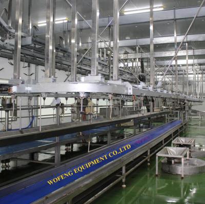 China International Halal Food Processing Plant Slaughterhouse Meat Processing Equipment Goat Slaughterhouse Equipment WFA for sale