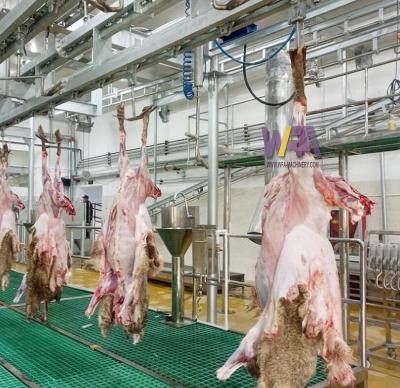 China International halal food processing all slaughtering equipment for sheep line in goat slaughterhouse for sale for sale