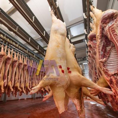 China International Halal Complete Pork Slaughterhouse Pig Slaughterhouse Food Processing Food Processing Line Equipment For Pig Slaughtering Equipment Pigs Slaughtering Machinery for sale