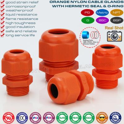 China Watertight Cable Glands, Nylon 6 (UL94 V-2), IP68/IP69K, PG & Metric Thread, M12-M75 / PG7-PG48, Orange RAL 2004 for sale