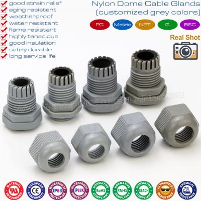 China Non-Metallic Plastic Gray Cable Gland PG11, Adjustable 5-10mm Gland Connector IP68 Watertight Cable Screw Gland for sale