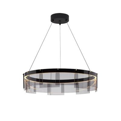 China Central Institute of Statistics Modern Minimalist Living Room Chandelier Nordic Circular Art Designer Style Dining Room Lighting for sale