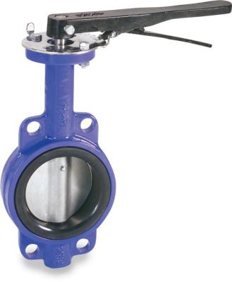 China API General ASTM AWWA 4 type 10 inch ptfe butterfly valve malleable cast iron wafer for sale