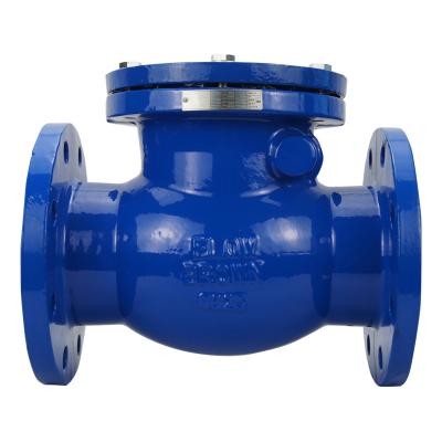 China ANSI B16.10 General Malleable Cast Iron Swing Check Valve For Sea Water for sale