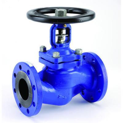 China General Tianjin cast iron steam bellows seal water control valve globe valve price pn16 for sale