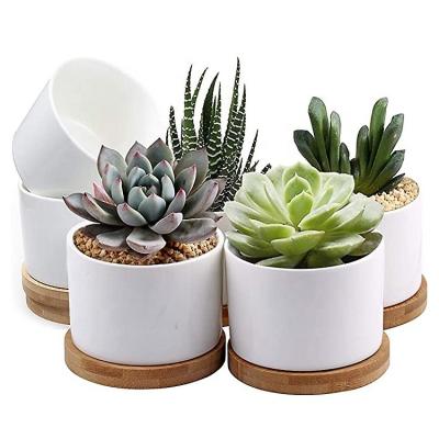 China Ceramic Flower Planter Pot Indoor Room Decoratio with Bamboo Desktop Windowsill Decor Pot Tray Mini 3.15 inch Succulent à venda