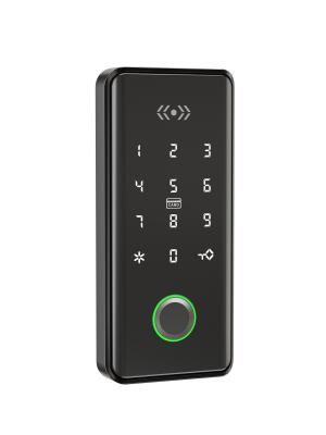 China Fingerprint Password Smart Cabinet Lock With Zinc Alloy Screws for sale