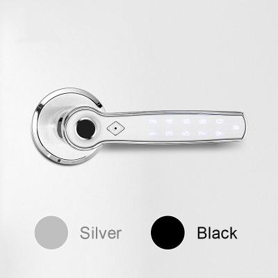 China TTlock Fingerprint Bluetooth Smart Lock Keyless Zinc Alloy Handle for sale