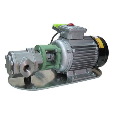 China Biofuel Industry WCB 220v Edible Oil Transfer Pump Stainless Steel Food Grade Gear Pump for sale