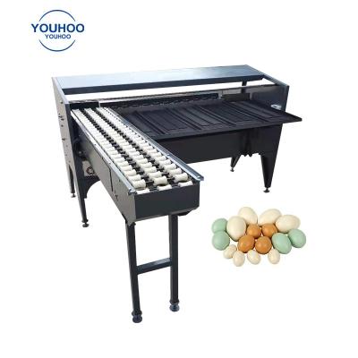 China High Capacity Commercial Egg Weight Size Grader Machine Chicken Egg Checking Machinery Egg Grading Sorting Equipment for sale