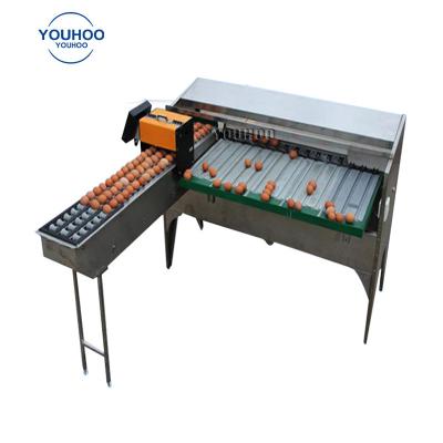 China High Capacity Industrial Egg Scale Grading Machine Egg Grader Weight Grader Sorter Machine Cost Small for sale