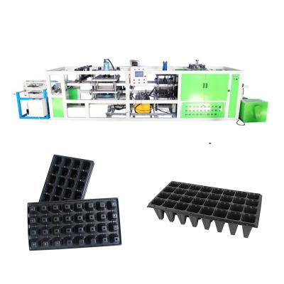 China Seeding Tray Automatic Seeding Tray Nursery Pot Flower Potting Machine in Plastic Vacuum Forming Machine for sale