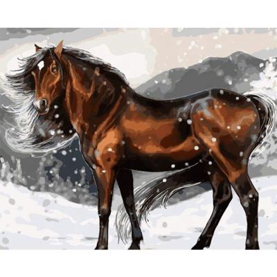 China New modern style hand painted oil painying by numbers kits animal painting colorful horse for home decoration 40*50cm for sale