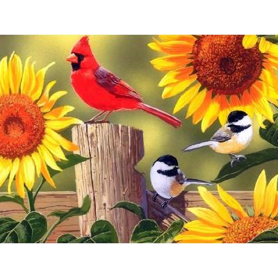 China New Classic/Postmodern 5D Diamond Painting Bird Sunflower Rhinestone Animal Outlines Diamond Embroidery Sale Cross Stitch Mosaic Crafts Home Deco for sale