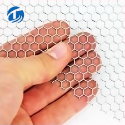 China Anti - Corrosion Stainless Steel Perforated Metal Mesh / Mesh / Thin Holes Etching for sale