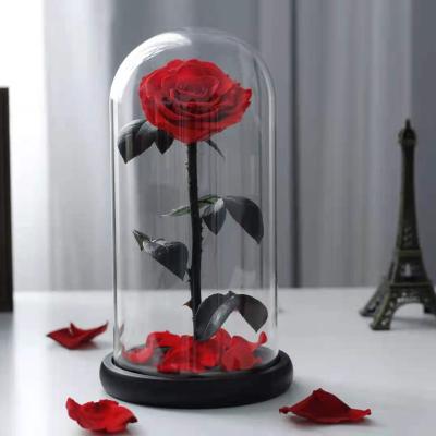 China Fresh Natural Preserved Durable Preserved Rose Flower In Glass Dome Craft Gift With 1 Branch Rose For Decor for sale