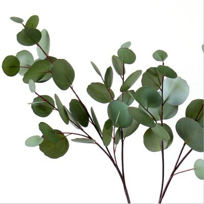 China Art Decor Real Touch Artificial Eucalyptus Leaves Fake Stems Large Eucalyptus Greenery Stems For Vase Wedding Home Decor for sale