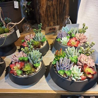 China Art Decor New Style Artificial Fake Assorted Succulents for sale