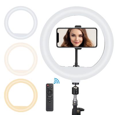 China Best Selling Amazon Photographic Ring Light with Phone Holder 12 Inch Ring Light Photography Camera Ring Light for sale