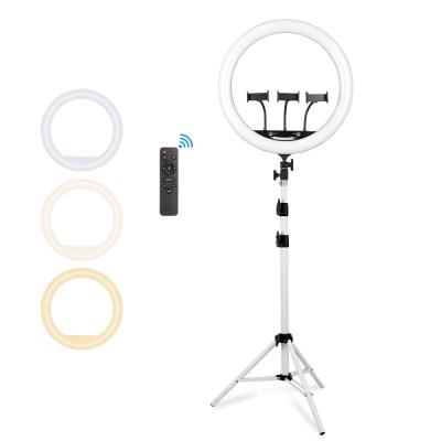 China 18 Inch Makeup Ring Light Stand Tripod Stand Led Circle Selfie Ring Light With Cell Phone Shine Dimmable for sale