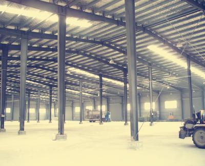 China Steel Workshop Multi-span Structural Steel Warehouse Building for sale